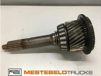 : fotografija zaglavlja