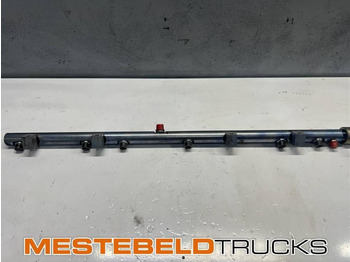 : fotografija zaglavlja