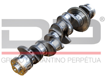 : fotografija zaglavlja