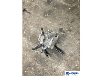 : fotografija zaglavlja