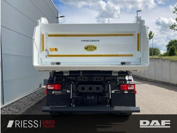 Novi Kiper DAF XD 450 FAD 8x4 Meiller Trigenius Bordmatik: slika Novi Kiper DAF XD 450 FAD 8x4 Meiller Trigenius Bordmatik