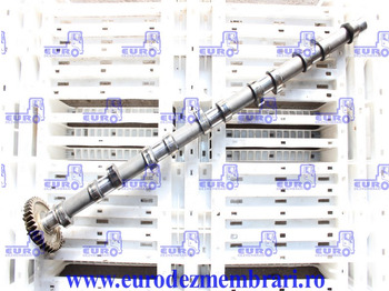 Bregasto vratilo MAN TGX