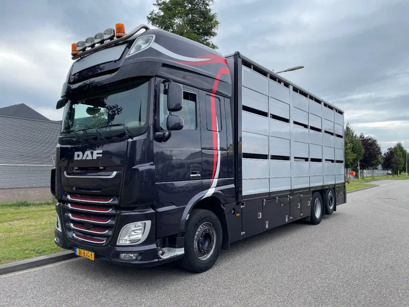 DAF XF 460 2017 berdex 3 lagen varkens - Kamion za prijevoz stoke: slika DAF XF 460 2017 berdex 3 lagen varkens - Kamion za prijevoz stoke DAF XF 460 2017 berdex 3 lagen varkens - Kamion za prijevoz stoke: slika DAF XF 460 2017 berdex 3 lagen varkens - Kamion za prijevoz stoke