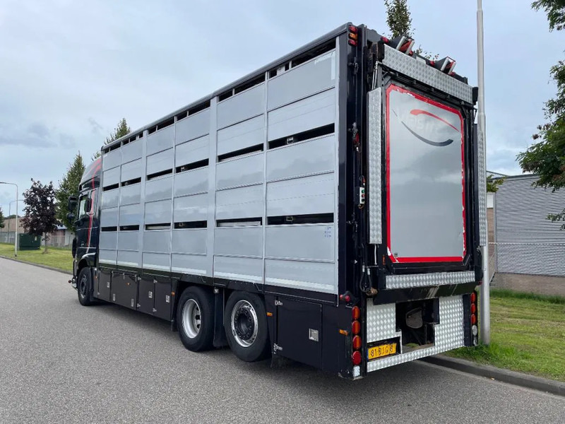 DAF XF 460 2017 berdex 3 lagen varkens - Kamion za prijevoz stoke: slika DAF XF 460 2017 berdex 3 lagen varkens - Kamion za prijevoz stoke DAF XF 460 2017 berdex 3 lagen varkens - Kamion za prijevoz stoke: slika DAF XF 460 2017 berdex 3 lagen varkens - Kamion za prijevoz stoke