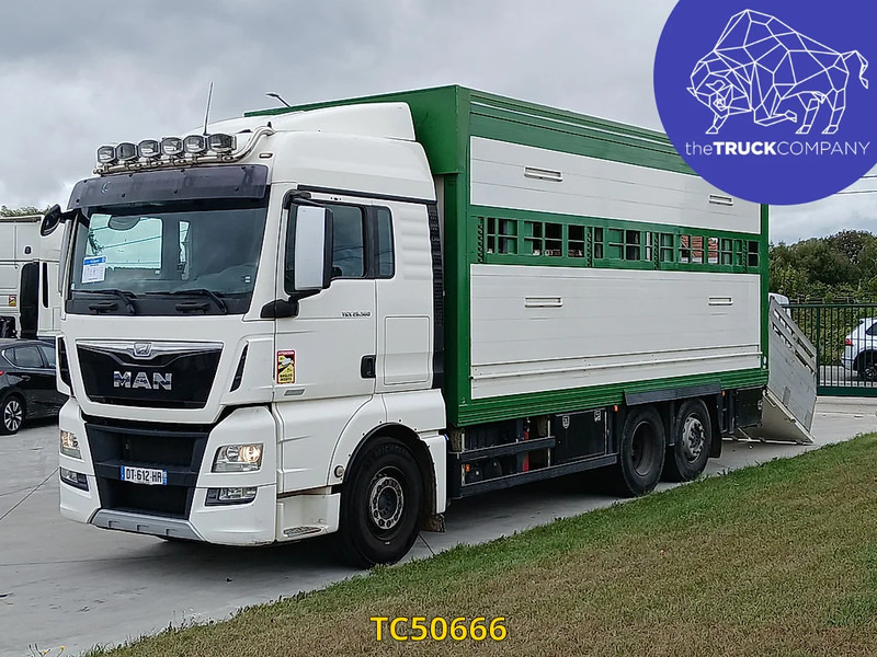MAN TGX 460 - Kamion za prijevoz stoke: slika MAN TGX 460 - Kamion za prijevoz stoke MAN TGX 460 - Kamion za prijevoz stoke: slika MAN TGX 460 - Kamion za prijevoz stoke