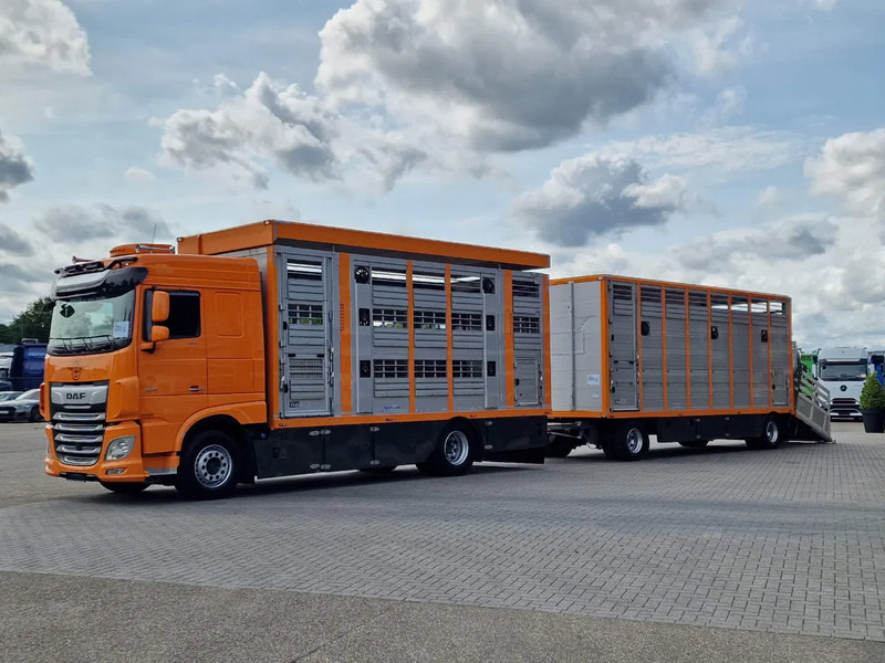DAF XF 530 4x2 - Livestock Menke + 2018 Menke trailer 2 deck - Water + Ventilation - Lifting roof - Kamion za prijevoz stoke: slika DAF XF 530 4x2 - Livestock Menke + 2018 Menke trailer 2 deck - Water + Ventilation - Lifting roof - Kamion za prijevoz stoke DAF XF 530 4x2 - Livestock Menke + 2018 Menke trailer 2 deck - Water + Ventilation - Lifting roof - Kamion za prijevoz stoke: slika DAF XF 530 4x2 - Livestock Menke + 2018 Menke trailer 2 deck - Water + Ventilation - Lifting roof - Kamion za prijevoz stoke