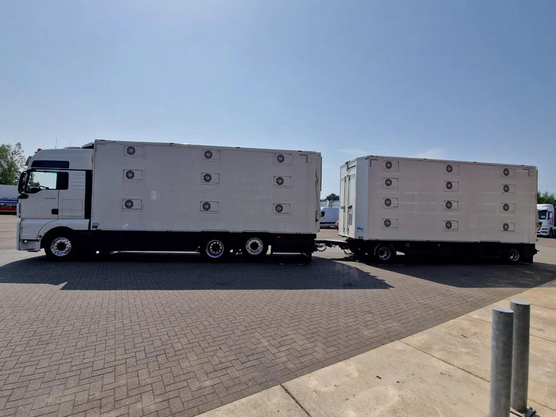 MAN TGX 500 6x2 - 3 deck Cuppers + 4 deck Cuppers 2019 trailer - Water & Ventilation - Night clima - - Kamion za prijevoz stoke: slika MAN TGX 500 6x2 - 3 deck Cuppers + 4 deck Cuppers 2019 trailer - Water & Ventilation - Night clima - - Kamion za prijevoz stoke MAN TGX 500 6x2 - 3 deck Cuppers + 4 deck Cuppers 2019 trailer - Water & Ventilation - Night clima - - Kamion za prijevoz stoke: slika MAN TGX 500 6x2 - 3 deck Cuppers + 4 deck Cuppers 2019 trailer - Water & Ventilation - Night clima - - Kamion za prijevoz stoke