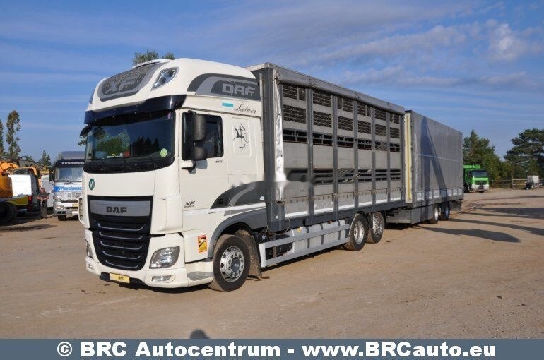 DAF DAF Krone XF 460 FAR XF 460 FAR - Kamion za prijevoz konja: slika DAF DAF Krone XF 460 FAR XF 460 FAR - Kamion za prijevoz konja DAF DAF Krone XF 460 FAR XF 460 FAR - Kamion za prijevoz konja: slika DAF DAF Krone XF 460 FAR XF 460 FAR - Kamion za prijevoz konja