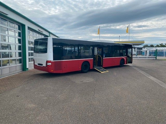 MAN A 21 Lions City KLIMA EURO 6 ZF EcoLife 2x - Gradski autobus: slika MAN A 21 Lions City KLIMA EURO 6 ZF EcoLife 2x - Gradski autobus MAN A 21 Lions City KLIMA EURO 6 ZF EcoLife 2x - Gradski autobus: slika MAN A 21 Lions City KLIMA EURO 6 ZF EcoLife 2x - Gradski autobus