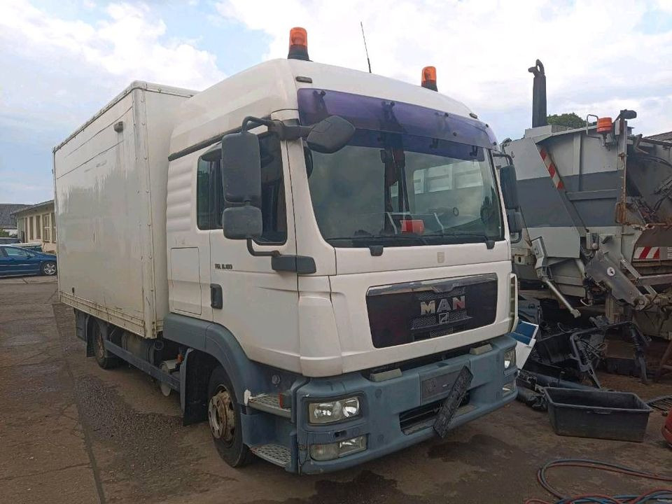 Kabine MAN TGL TGM Fernverkehr - Kabina za Kamion: slika Kabine MAN TGL TGM Fernverkehr - Kabina za Kamion Kabine MAN TGL TGM Fernverkehr - Kabina za Kamion: slika Kabine MAN TGL TGM Fernverkehr - Kabina za Kamion