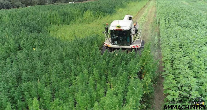 Kombajn za kukuruz za prijevoz hrane Hemp harvest header 4.5 meter: slika Kombajn za kukuruz za prijevoz hrane Hemp harvest header 4.5 meter