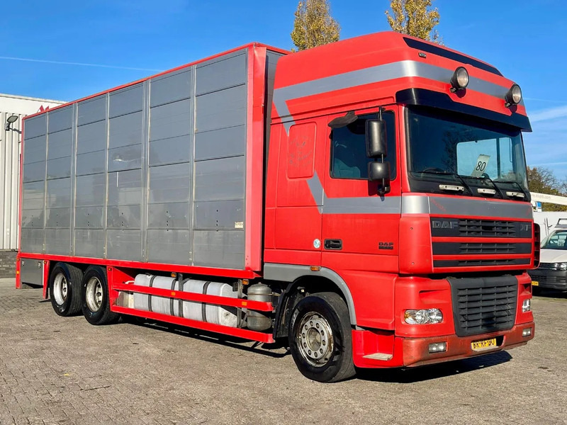 DAF XF 95.430 BERDEX 3 decks. Water, fans, Scales! Excellent condition. - Kamion za prijevoz stoke: slika DAF XF 95.430 BERDEX 3 decks. Water, fans, Scales! Excellent condition. - Kamion za prijevoz stoke DAF XF 95.430 BERDEX 3 decks. Water, fans, Scales! Excellent condition. - Kamion za prijevoz stoke: slika DAF XF 95.430 BERDEX 3 decks. Water, fans, Scales! Excellent condition. - Kamion za prijevoz stoke