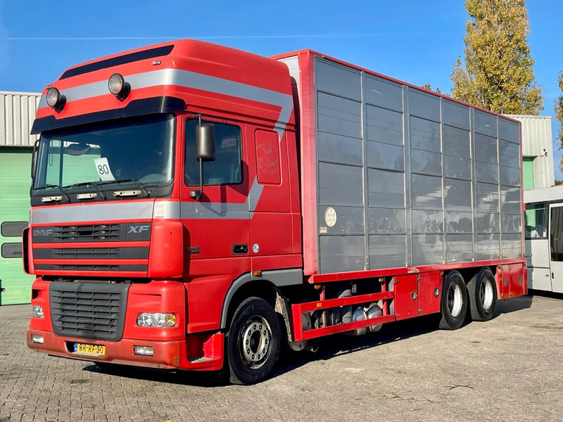 DAF XF 95.430 BERDEX 3 decks. Water, fans, Scales! Excellent condition. - Kamion za prijevoz stoke: slika DAF XF 95.430 BERDEX 3 decks. Water, fans, Scales! Excellent condition. - Kamion za prijevoz stoke DAF XF 95.430 BERDEX 3 decks. Water, fans, Scales! Excellent condition. - Kamion za prijevoz stoke: slika DAF XF 95.430 BERDEX 3 decks. Water, fans, Scales! Excellent condition. - Kamion za prijevoz stoke