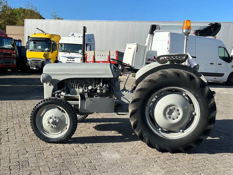 Diversen FERGUSON tractor - Traktor: slika Diversen FERGUSON tractor - Traktor Diversen FERGUSON tractor - Traktor: slika Diversen FERGUSON tractor - Traktor