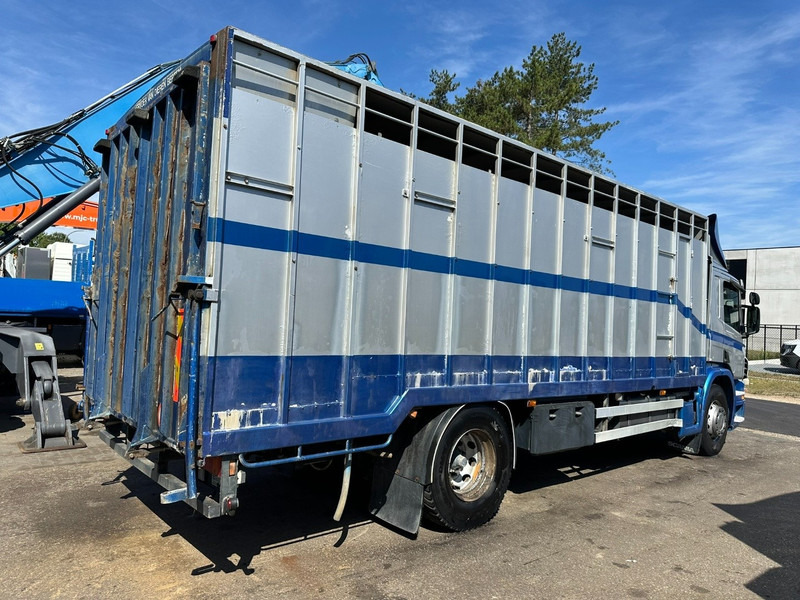 Scania P310 4x2 LIVESTOCK / VEEWAGEN / TIERTRANSPORT / BETAILLERE - ALU BOX 7m - MANUAL - A/C - BELGIAN TRUCK - Kamion za prijevoz stoke: slika Scania P310 4x2 LIVESTOCK / VEEWAGEN / TIERTRANSPORT / BETAILLERE - ALU BOX 7m - MANUAL - A/C - BELGIAN TRUCK - Kamion za prijevoz stoke Scania P310 4x2 LIVESTOCK / VEEWAGEN / TIERTRANSPORT / BETAILLERE - ALU BOX 7m - MANUAL - A/C - BELGIAN TRUCK - Kamion za prijevoz stoke: slika Scania P310 4x2 LIVESTOCK / VEEWAGEN / TIERTRANSPORT / BETAILLERE - ALU BOX 7m - MANUAL - A/C - BELGIAN TRUCK - Kamion za prijevoz stoke
