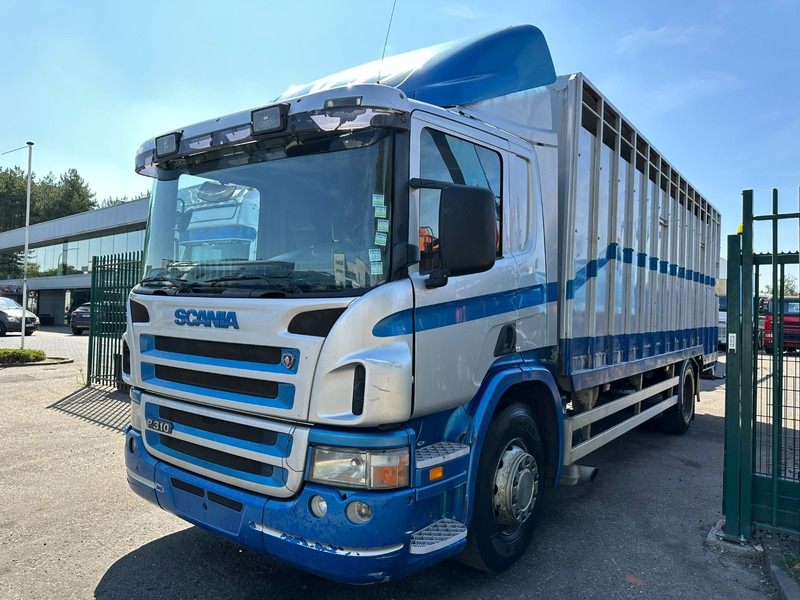 Scania P310 4x2 LIVESTOCK / VEEWAGEN / TIERTRANSPORT / BETAILLERE - ALU BOX 7m - MANUAL - A/C - BELGIAN TRUCK - Kamion za prijevoz stoke: slika Scania P310 4x2 LIVESTOCK / VEEWAGEN / TIERTRANSPORT / BETAILLERE - ALU BOX 7m - MANUAL - A/C - BELGIAN TRUCK - Kamion za prijevoz stoke Scania P310 4x2 LIVESTOCK / VEEWAGEN / TIERTRANSPORT / BETAILLERE - ALU BOX 7m - MANUAL - A/C - BELGIAN TRUCK - Kamion za prijevoz stoke: slika Scania P310 4x2 LIVESTOCK / VEEWAGEN / TIERTRANSPORT / BETAILLERE - ALU BOX 7m - MANUAL - A/C - BELGIAN TRUCK - Kamion za prijevoz stoke