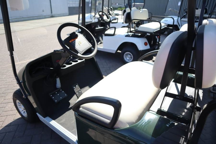 Vozilo za golf terene BRINGO DG-C2 Valid Inspection, *Guarantee! Dutch R: slika Vozilo za golf terene BRINGO DG-C2 Valid Inspection, *Guarantee! Dutch R