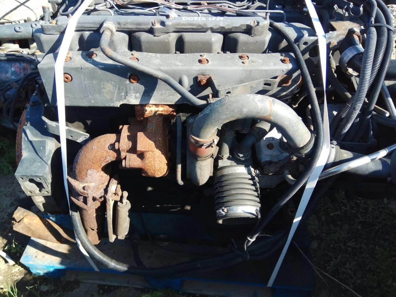 MAN D0826 LF17 264 E2 MAN - Motor za Kamion: slika MAN D0826 LF17 264 E2 MAN - Motor za Kamion MAN D0826 LF17 264 E2 MAN - Motor za Kamion: slika MAN D0826 LF17 264 E2 MAN - Motor za Kamion