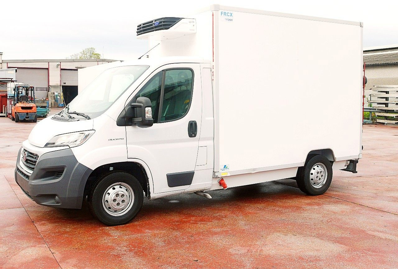 Fiat DUCATO 2.3 KUHLKOFFER FLEISH HAKEN CARRIER -20C - Dostavno vozilo hladnjača: slika Fiat DUCATO 2.3 KUHLKOFFER FLEISH HAKEN CARRIER -20C - Dostavno vozilo hladnjača Fiat DUCATO 2.3 KUHLKOFFER FLEISH HAKEN CARRIER -20C - Dostavno vozilo hladnjača: slika Fiat DUCATO 2.3 KUHLKOFFER FLEISH HAKEN CARRIER -20C - Dostavno vozilo hladnjača