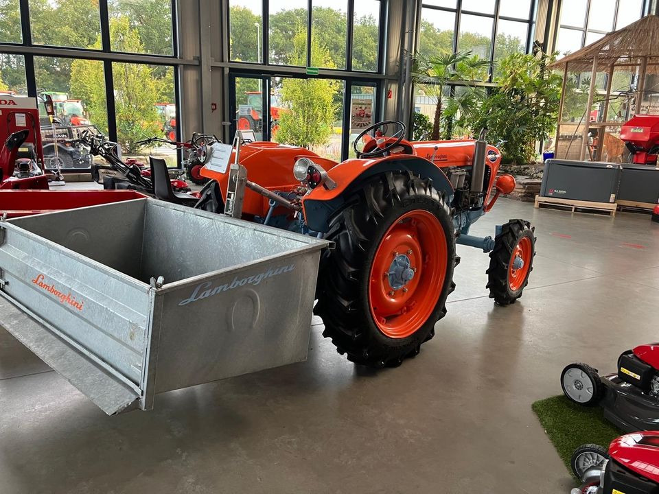 Lamborghini 2 R Typ FL3 Sammlerstück Oldtimer - Traktor: slika Lamborghini 2 R Typ FL3 Sammlerstück Oldtimer - Traktor Lamborghini 2 R Typ FL3 Sammlerstück Oldtimer - Traktor: slika Lamborghini 2 R Typ FL3 Sammlerstück Oldtimer - Traktor