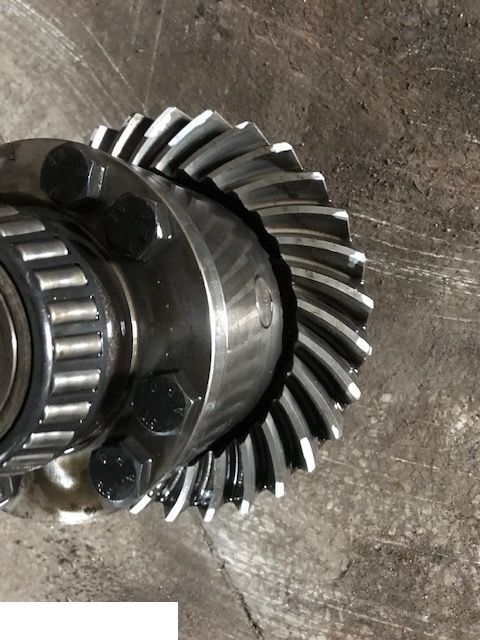 Manitou 1233 - Atak Talerz 11x31 - Diferencijalni zupčanik za Poljoprivredni strojevi: slika Manitou 1233 - Atak Talerz 11x31 - Diferencijalni zupčanik za Poljoprivredni strojevi Manitou 1233 - Atak Talerz 11x31 - Diferencijalni zupčanik za Poljoprivredni strojevi: slika Manitou 1233 - Atak Talerz 11x31 - Diferencijalni zupčanik za Poljoprivredni strojevi