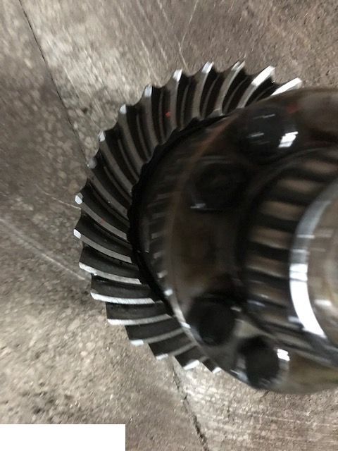 Manitou 1233 - Atak Talerz 11x31 - Diferencijalni zupčanik za Poljoprivredni strojevi: slika Manitou 1233 - Atak Talerz 11x31 - Diferencijalni zupčanik za Poljoprivredni strojevi Manitou 1233 - Atak Talerz 11x31 - Diferencijalni zupčanik za Poljoprivredni strojevi: slika Manitou 1233 - Atak Talerz 11x31 - Diferencijalni zupčanik za Poljoprivredni strojevi