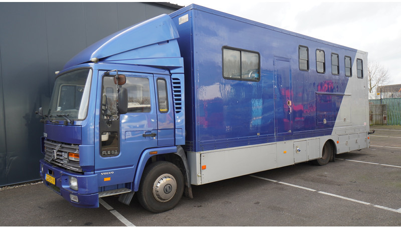 Volvo FL 6-9 HORSE TRANSPORT 341.000KM MANUAL GEARBOX - Kamion za prijevoz konja: slika Volvo FL 6-9 HORSE TRANSPORT 341.000KM MANUAL GEARBOX - Kamion za prijevoz konja Volvo FL 6-9 HORSE TRANSPORT 341.000KM MANUAL GEARBOX - Kamion za prijevoz konja: slika Volvo FL 6-9 HORSE TRANSPORT 341.000KM MANUAL GEARBOX - Kamion za prijevoz konja