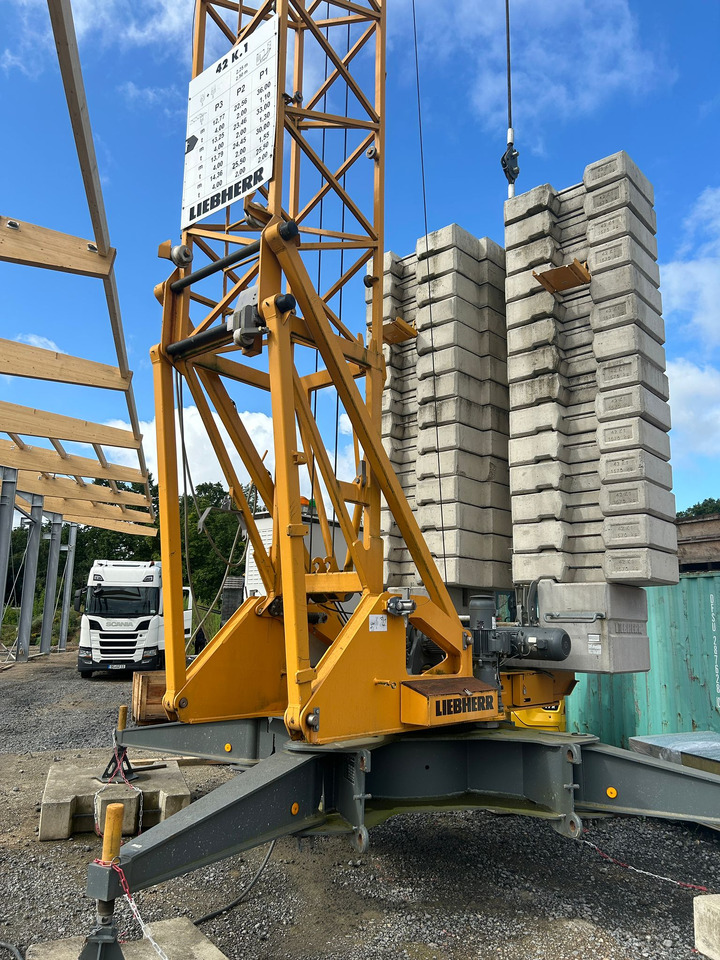 LIEBHERR 42K.1 - Toranjska dizalica: slika LIEBHERR 42K.1 - Toranjska dizalica LIEBHERR 42K.1 - Toranjska dizalica: slika LIEBHERR 42K.1 - Toranjska dizalica