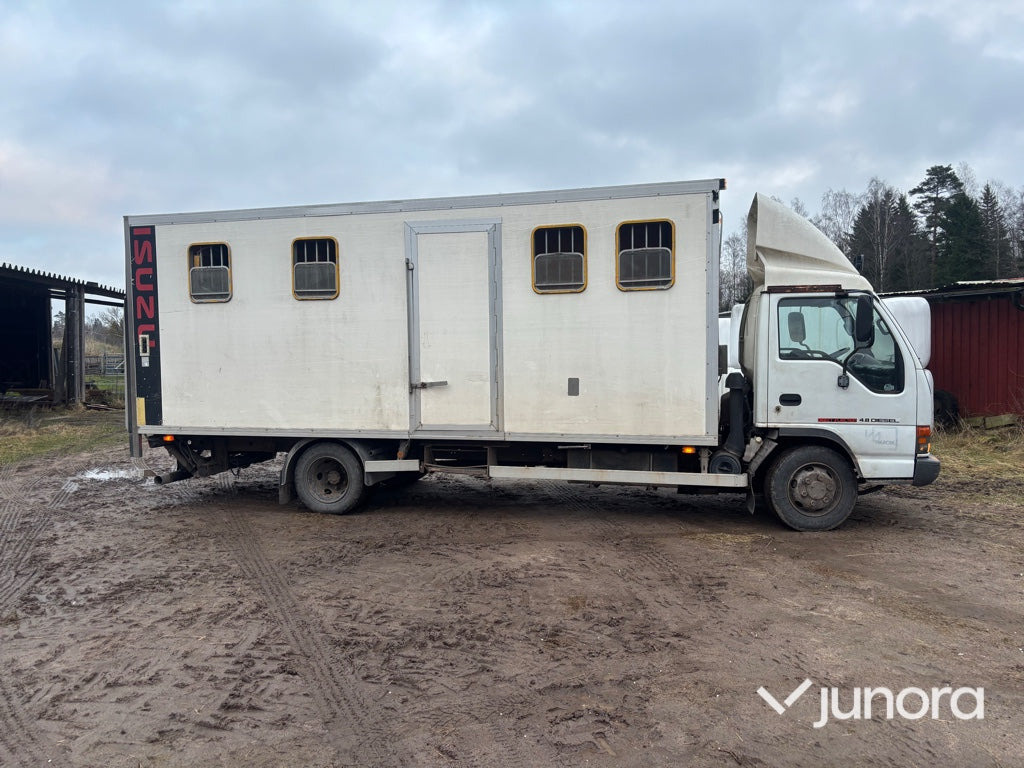 Kamion za prijevoz konja Hästlastbil - Isuzu, NQR70T: slika Kamion za prijevoz konja Hästlastbil - Isuzu, NQR70T