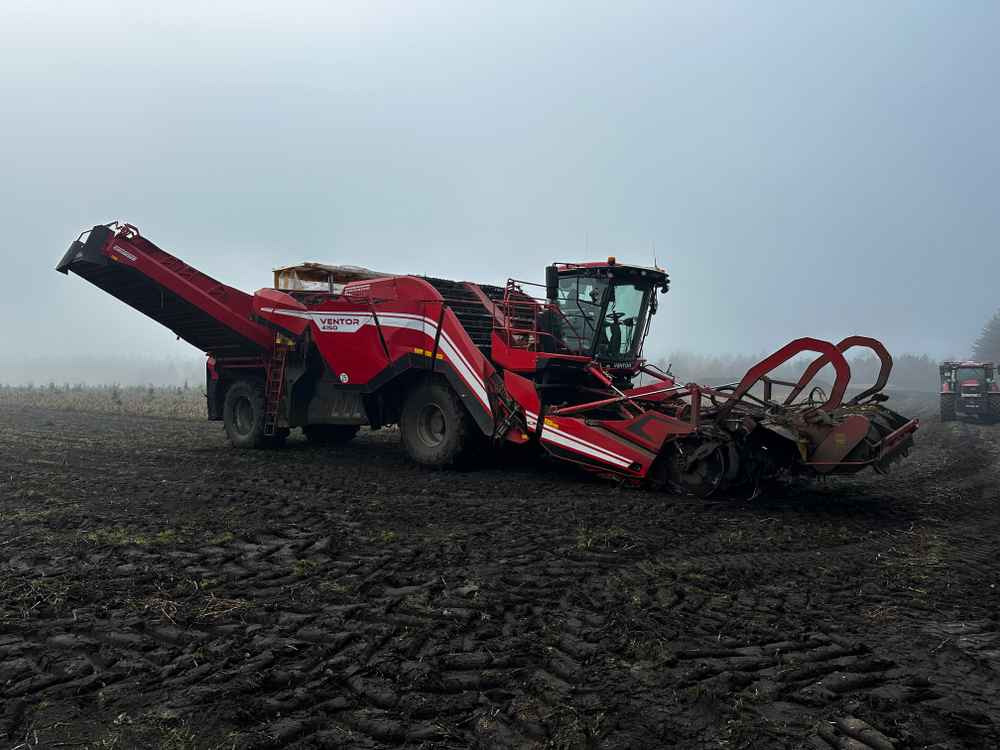 Grimme VENTOR 4150 ClodSep - Kombajn: slika Grimme VENTOR 4150 ClodSep - Kombajn Grimme VENTOR 4150 ClodSep - Kombajn: slika Grimme VENTOR 4150 ClodSep - Kombajn