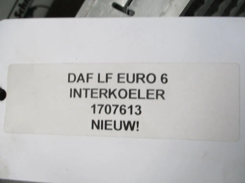 DAF 1707613 INTERKOELER DAF LF PX5 PX7 EURO 6 NIEUW! - Međuhladnjak za Kamion: slika DAF 1707613 INTERKOELER DAF LF PX5 PX7 EURO 6 NIEUW! - Međuhladnjak za Kamion DAF 1707613 INTERKOELER DAF LF PX5 PX7 EURO 6 NIEUW! - Međuhladnjak za Kamion: slika DAF 1707613 INTERKOELER DAF LF PX5 PX7 EURO 6 NIEUW! - Međuhladnjak za Kamion