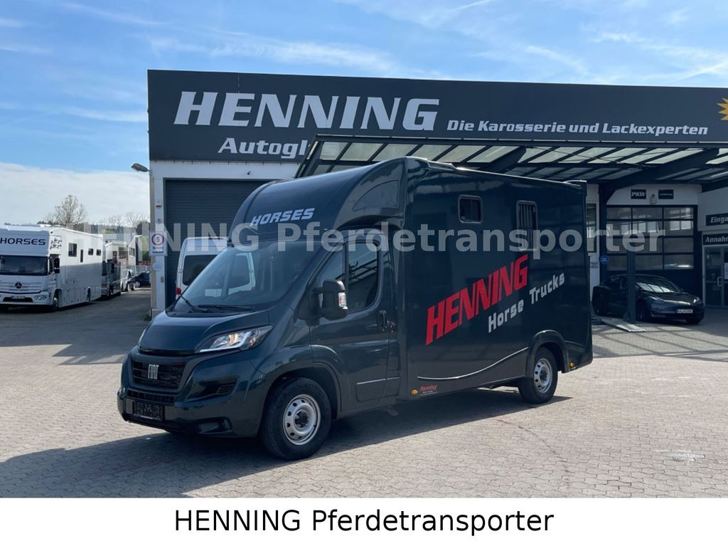 Fiat Ducato 3 - Sitzer *VORFÜHRUNGSFAHRZEUG* - Kamion za prijevoz konja: slika Fiat Ducato 3 - Sitzer *VORFÜHRUNGSFAHRZEUG* - Kamion za prijevoz konja Fiat Ducato 3 - Sitzer *VORFÜHRUNGSFAHRZEUG* - Kamion za prijevoz konja: slika Fiat Ducato 3 - Sitzer *VORFÜHRUNGSFAHRZEUG* - Kamion za prijevoz konja
