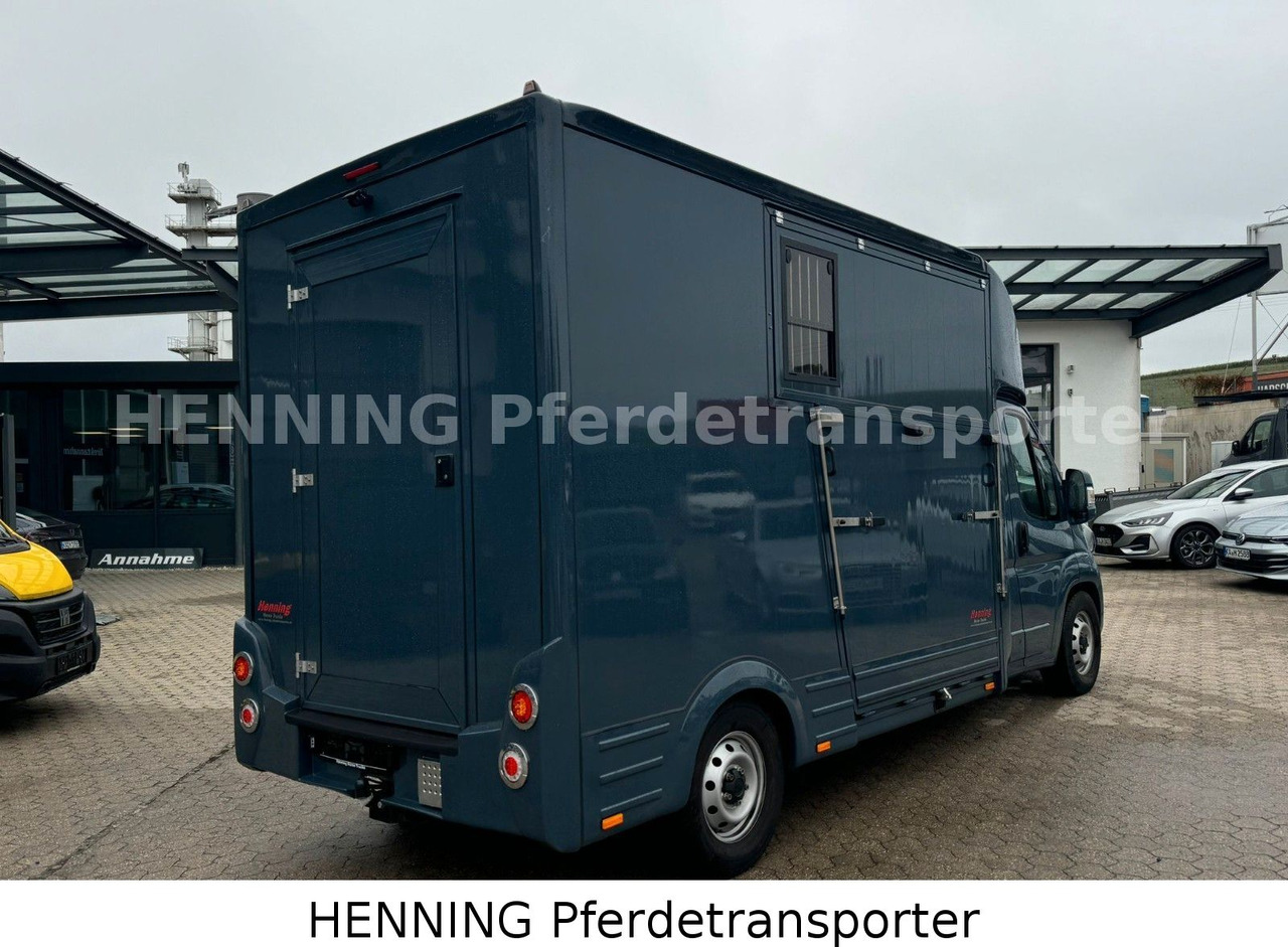 Fiat Ducato *AUTOMATIK* 3 - Sitzer - Kamion za prijevoz stoke: slika Fiat Ducato *AUTOMATIK* 3 - Sitzer - Kamion za prijevoz stoke Fiat Ducato *AUTOMATIK* 3 - Sitzer - Kamion za prijevoz stoke: slika Fiat Ducato *AUTOMATIK* 3 - Sitzer - Kamion za prijevoz stoke