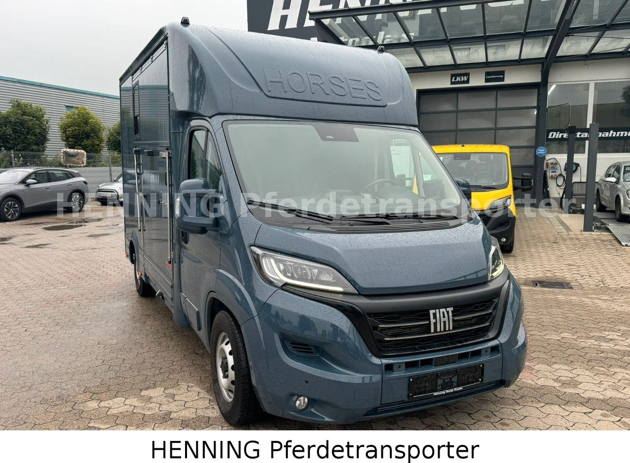 Fiat Ducato *AUTOMATIK* 3 - Sitzer - Kamion za prijevoz stoke: slika Fiat Ducato *AUTOMATIK* 3 - Sitzer - Kamion za prijevoz stoke Fiat Ducato *AUTOMATIK* 3 - Sitzer - Kamion za prijevoz stoke: slika Fiat Ducato *AUTOMATIK* 3 - Sitzer - Kamion za prijevoz stoke