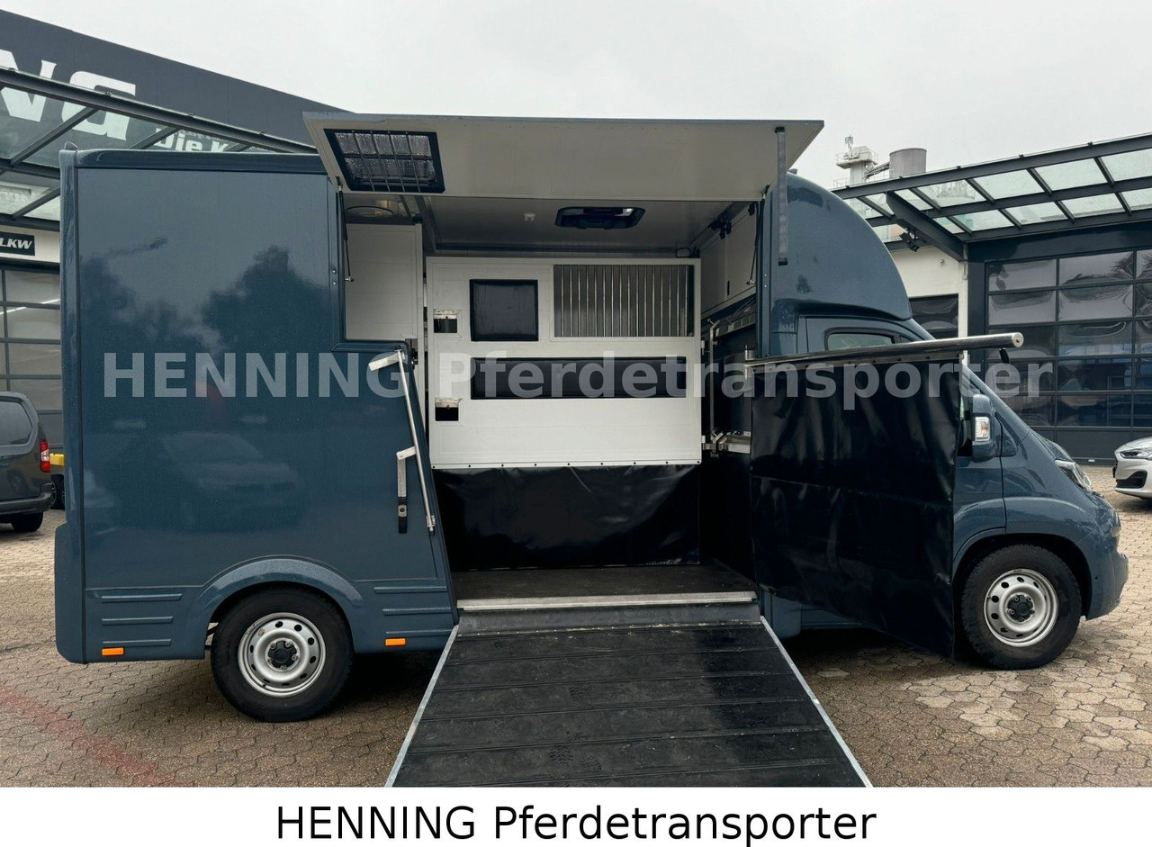 Fiat Ducato *AUTOMATIK* 3 - Sitzer - Kamion za prijevoz stoke: slika Fiat Ducato *AUTOMATIK* 3 - Sitzer - Kamion za prijevoz stoke Fiat Ducato *AUTOMATIK* 3 - Sitzer - Kamion za prijevoz stoke: slika Fiat Ducato *AUTOMATIK* 3 - Sitzer - Kamion za prijevoz stoke