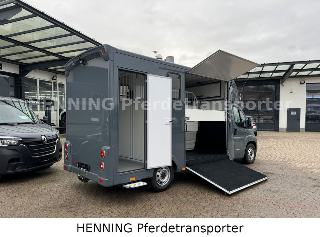 Fiat Ducato *NEUWAGEN* ca.1100 kg Nutzlast - Kamion za prijevoz konja: slika Fiat Ducato *NEUWAGEN* ca.1100 kg Nutzlast - Kamion za prijevoz konja Fiat Ducato *NEUWAGEN* ca.1100 kg Nutzlast - Kamion za prijevoz konja: slika Fiat Ducato *NEUWAGEN* ca.1100 kg Nutzlast - Kamion za prijevoz konja