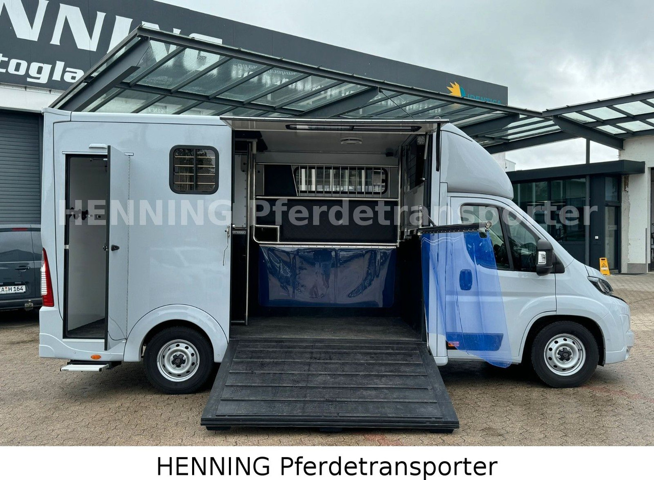 Peugeot Boxer 3 - Sitzer *GROSSE SATTELKAMMER* - Kamion za prijevoz stoke: slika Peugeot Boxer 3 - Sitzer *GROSSE SATTELKAMMER* - Kamion za prijevoz stoke Peugeot Boxer 3 - Sitzer *GROSSE SATTELKAMMER* - Kamion za prijevoz stoke: slika Peugeot Boxer 3 - Sitzer *GROSSE SATTELKAMMER* - Kamion za prijevoz stoke