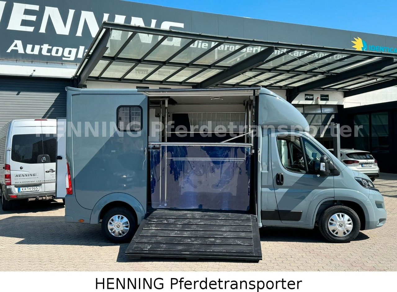 Peugeot Boxer 3-Sitzer *NEUWAGEN* 1000 KG NUTZLAST - Kamion za prijevoz konja: slika Peugeot Boxer 3-Sitzer *NEUWAGEN* 1000 KG NUTZLAST - Kamion za prijevoz konja Peugeot Boxer 3-Sitzer *NEUWAGEN* 1000 KG NUTZLAST - Kamion za prijevoz konja: slika Peugeot Boxer 3-Sitzer *NEUWAGEN* 1000 KG NUTZLAST - Kamion za prijevoz konja