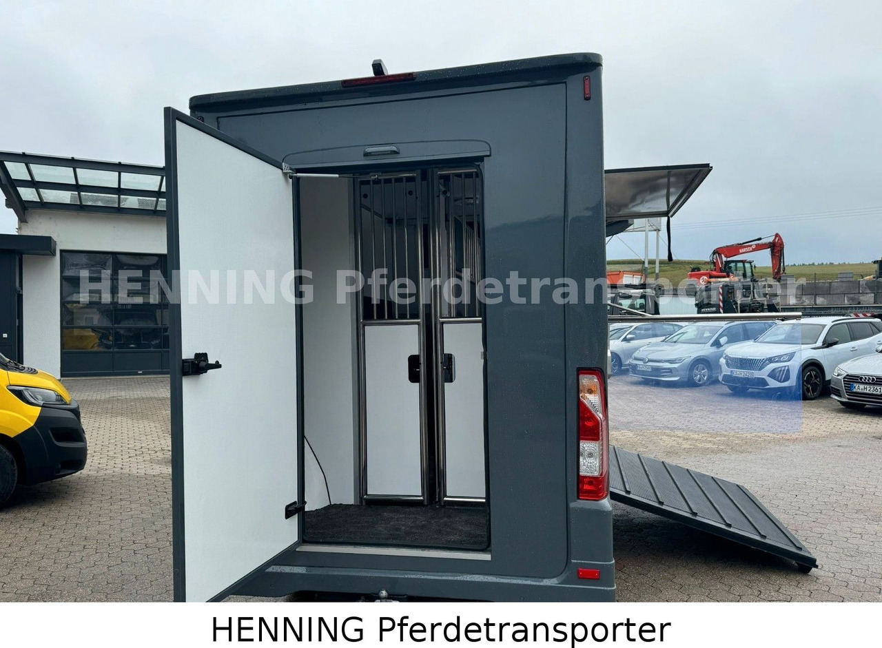 Renault Master 3 - Sitzer *NEUES MODELL* - Kamion za prijevoz stoke: slika Renault Master 3 - Sitzer *NEUES MODELL* - Kamion za prijevoz stoke Renault Master 3 - Sitzer *NEUES MODELL* - Kamion za prijevoz stoke: slika Renault Master 3 - Sitzer *NEUES MODELL* - Kamion za prijevoz stoke