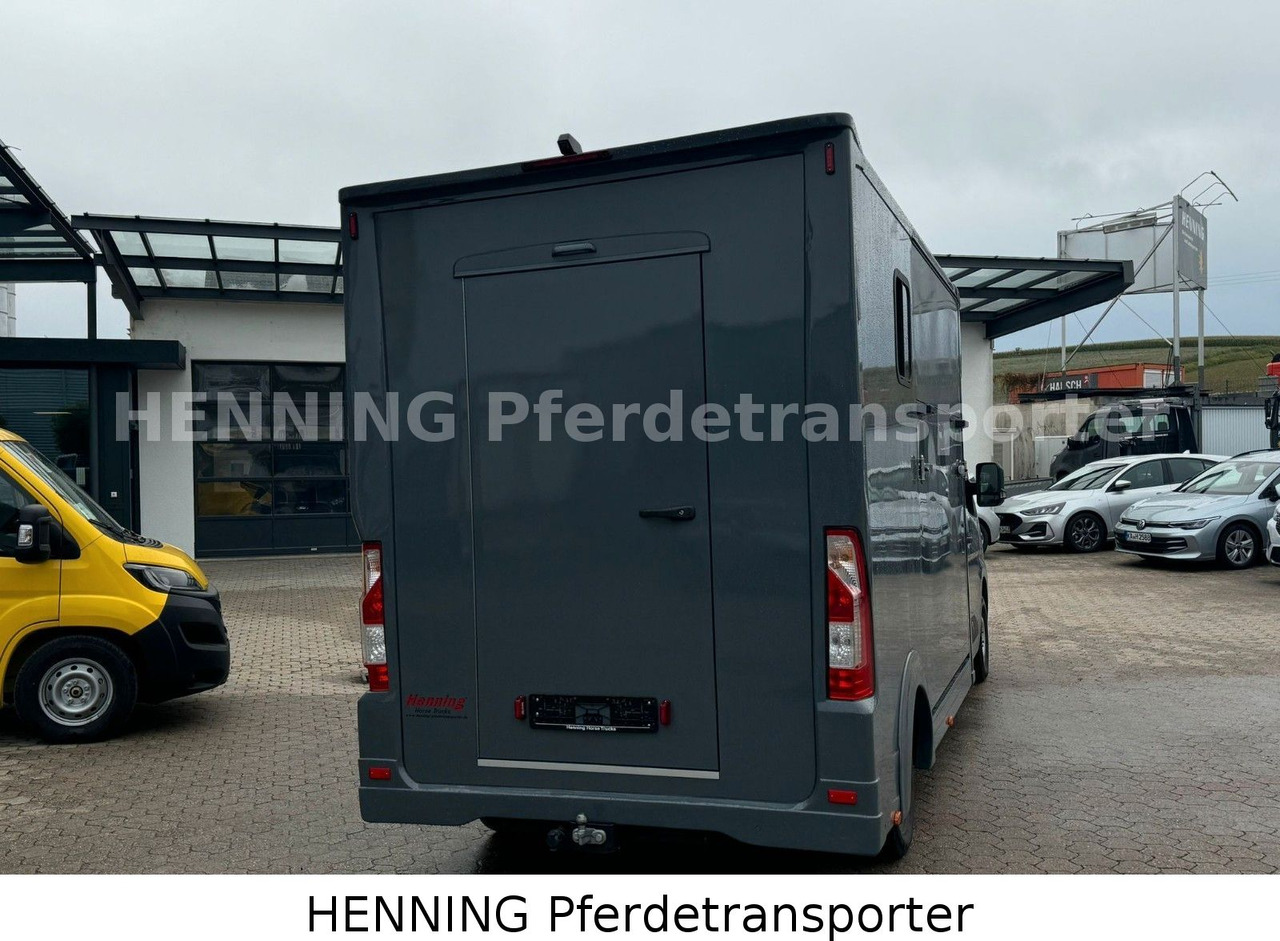 Renault Master 3 - Sitzer *NEUES MODELL* - Kamion za prijevoz stoke: slika Renault Master 3 - Sitzer *NEUES MODELL* - Kamion za prijevoz stoke Renault Master 3 - Sitzer *NEUES MODELL* - Kamion za prijevoz stoke: slika Renault Master 3 - Sitzer *NEUES MODELL* - Kamion za prijevoz stoke