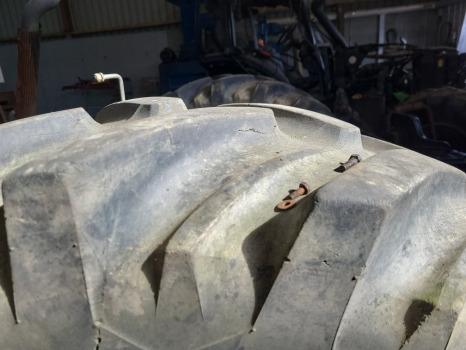 Massey Ferguson 265, 275, 290, 298 Rear Wheel And Tyre 16.9r34 - Kompletan kotač: slika Massey Ferguson 265, 275, 290, 298 Rear Wheel And Tyre 16.9r34 - Kompletan kotač Massey Ferguson 265, 275, 290, 298 Rear Wheel And Tyre 16.9r34 - Kompletan kotač: slika Massey Ferguson 265, 275, 290, 298 Rear Wheel And Tyre 16.9r34 - Kompletan kotač
