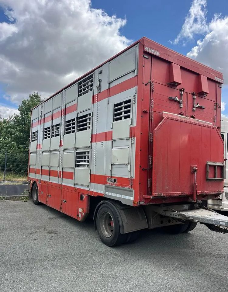 DAF XF 530 + Przyczepa Pezzaoli - 3X Trzoda, 2 X Bydło I 3 poziomy I Podnoszony dach I Hydroburta I Osie Skrętne I Poidła I Wentylatory I Pilot Manualny | - Kamion za prijevoz stoke: slika DAF XF 530 + Przyczepa Pezzaoli - 3X Trzoda, 2 X Bydło I 3 poziomy I Podnoszony dach I Hydroburta I Osie Skrętne I Poidła I Wentylatory I Pilot Manualny | - Kamion za prijevoz stoke DAF XF 530 + Przyczepa Pezzaoli - 3X Trzoda, 2 X Bydło I 3 poziomy I Podnoszony dach I Hydroburta I Osie Skrętne I Poidła I Wentylatory I Pilot Manualny | - Kamion za prijevoz stoke: slika DAF XF 530 + Przyczepa Pezzaoli - 3X Trzoda, 2 X Bydło I 3 poziomy I Podnoszony dach I Hydroburta I Osie Skrętne I Poidła I Wentylatory I Pilot Manualny | - Kamion za prijevoz stoke