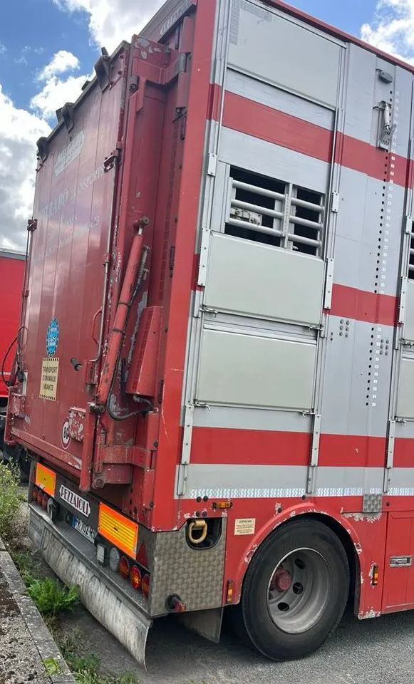 DAF XF 530 + Przyczepa Pezzaoli - 3X Trzoda, 2 X Bydło I 3 poziomy I Podnoszony dach I Hydroburta I Osie Skrętne I Poidła I Wentylatory I Pilot Manualny | - Kamion za prijevoz stoke: slika DAF XF 530 + Przyczepa Pezzaoli - 3X Trzoda, 2 X Bydło I 3 poziomy I Podnoszony dach I Hydroburta I Osie Skrętne I Poidła I Wentylatory I Pilot Manualny | - Kamion za prijevoz stoke DAF XF 530 + Przyczepa Pezzaoli - 3X Trzoda, 2 X Bydło I 3 poziomy I Podnoszony dach I Hydroburta I Osie Skrętne I Poidła I Wentylatory I Pilot Manualny | - Kamion za prijevoz stoke: slika DAF XF 530 + Przyczepa Pezzaoli - 3X Trzoda, 2 X Bydło I 3 poziomy I Podnoszony dach I Hydroburta I Osie Skrętne I Poidła I Wentylatory I Pilot Manualny | - Kamion za prijevoz stoke