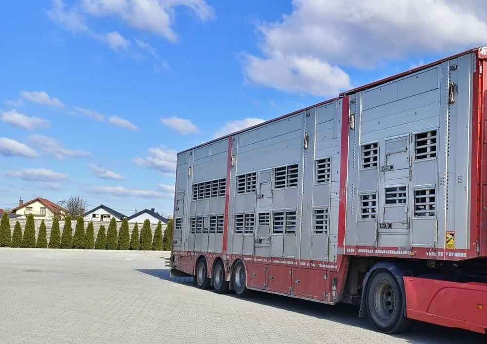 Pezzaioli SBA32/hydrauliczny dach/hydrauliczna rampa/ 3 poziomy/ 2xbydło -3xtrzoda/wentylatory/poidła/sterowanie pilotem - Poluprikolica za prijevoz stoke: slika Pezzaioli SBA32/hydrauliczny dach/hydrauliczna rampa/ 3 poziomy/ 2xbydło -3xtrzoda/wentylatory/poidła/sterowanie pilotem - Poluprikolica za prijevoz stoke Pezzaioli SBA32/hydrauliczny dach/hydrauliczna rampa/ 3 poziomy/ 2xbydło -3xtrzoda/wentylatory/poidła/sterowanie pilotem - Poluprikolica za prijevoz stoke: slika Pezzaioli SBA32/hydrauliczny dach/hydrauliczna rampa/ 3 poziomy/ 2xbydło -3xtrzoda/wentylatory/poidła/sterowanie pilotem - Poluprikolica za prijevoz stoke