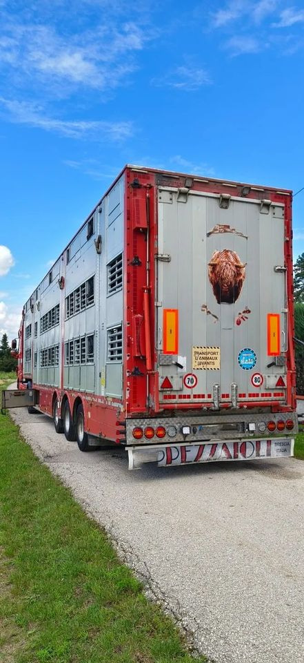 Pezzaioli SBA32/hydrauliczny dach/hydrauliczna rampa/ 3 poziomy/ 2xbydło -3xtrzoda/wentylatory/poidła/sterowanie pilotem - Poluprikolica za prijevoz stoke: slika Pezzaioli SBA32/hydrauliczny dach/hydrauliczna rampa/ 3 poziomy/ 2xbydło -3xtrzoda/wentylatory/poidła/sterowanie pilotem - Poluprikolica za prijevoz stoke Pezzaioli SBA32/hydrauliczny dach/hydrauliczna rampa/ 3 poziomy/ 2xbydło -3xtrzoda/wentylatory/poidła/sterowanie pilotem - Poluprikolica za prijevoz stoke: slika Pezzaioli SBA32/hydrauliczny dach/hydrauliczna rampa/ 3 poziomy/ 2xbydło -3xtrzoda/wentylatory/poidła/sterowanie pilotem - Poluprikolica za prijevoz stoke