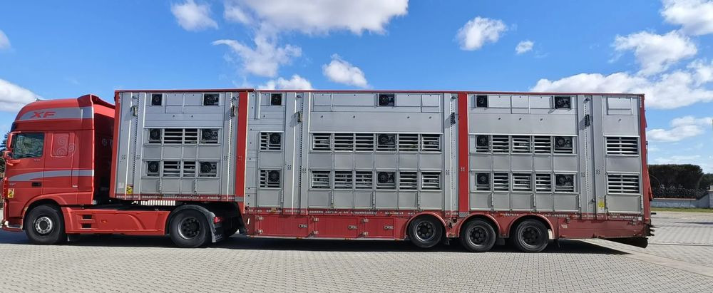 Pezzaioli SBA32/hydrauliczny dach/hydrauliczna rampa/ 3 poziomy/ 2xbydło -3xtrzoda/wentylatory/poidła/sterowanie pilotem - Poluprikolica za prijevoz stoke: slika Pezzaioli SBA32/hydrauliczny dach/hydrauliczna rampa/ 3 poziomy/ 2xbydło -3xtrzoda/wentylatory/poidła/sterowanie pilotem - Poluprikolica za prijevoz stoke Pezzaioli SBA32/hydrauliczny dach/hydrauliczna rampa/ 3 poziomy/ 2xbydło -3xtrzoda/wentylatory/poidła/sterowanie pilotem - Poluprikolica za prijevoz stoke: slika Pezzaioli SBA32/hydrauliczny dach/hydrauliczna rampa/ 3 poziomy/ 2xbydło -3xtrzoda/wentylatory/poidła/sterowanie pilotem - Poluprikolica za prijevoz stoke