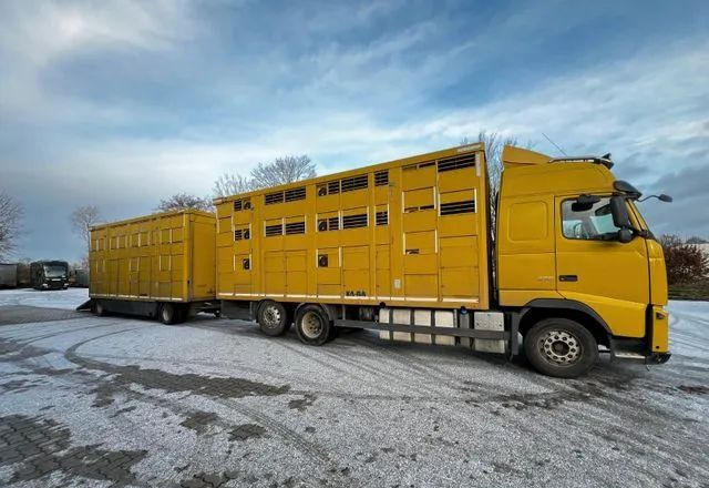 Volvo FH 420 • KABA • Transport Zwierząt 3xŚwinie/ 2xBydło 3-piętrowy • Euro 5 • Retarder • Oś podnoszona i skrętna - Kamion za prijevoz stoke: slika Volvo FH 420 • KABA • Transport Zwierząt 3xŚwinie/ 2xBydło 3-piętrowy • Euro 5 • Retarder • Oś podnoszona i skrętna - Kamion za prijevoz stoke Volvo FH 420 • KABA • Transport Zwierząt 3xŚwinie/ 2xBydło 3-piętrowy • Euro 5 • Retarder • Oś podnoszona i skrętna - Kamion za prijevoz stoke: slika Volvo FH 420 • KABA • Transport Zwierząt 3xŚwinie/ 2xBydło 3-piętrowy • Euro 5 • Retarder • Oś podnoszona i skrętna - Kamion za prijevoz stoke