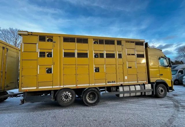 Volvo FH 420 • KABA • Transport Zwierząt 3xŚwinie/ 2xBydło 3-piętrowy • Euro 5 • Retarder • Oś podnoszona i skrętna - Kamion za prijevoz stoke: slika Volvo FH 420 • KABA • Transport Zwierząt 3xŚwinie/ 2xBydło 3-piętrowy • Euro 5 • Retarder • Oś podnoszona i skrętna - Kamion za prijevoz stoke Volvo FH 420 • KABA • Transport Zwierząt 3xŚwinie/ 2xBydło 3-piętrowy • Euro 5 • Retarder • Oś podnoszona i skrętna - Kamion za prijevoz stoke: slika Volvo FH 420 • KABA • Transport Zwierząt 3xŚwinie/ 2xBydło 3-piętrowy • Euro 5 • Retarder • Oś podnoszona i skrętna - Kamion za prijevoz stoke