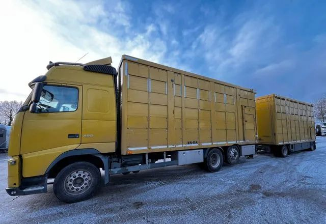 Volvo FH 420 • KABA • Transport Zwierząt 3xŚwinie/ 2xBydło 3-piętrowy • Euro 5 • Retarder • Oś podnoszona i skrętna - Kamion za prijevoz stoke: slika Volvo FH 420 • KABA • Transport Zwierząt 3xŚwinie/ 2xBydło 3-piętrowy • Euro 5 • Retarder • Oś podnoszona i skrętna - Kamion za prijevoz stoke Volvo FH 420 • KABA • Transport Zwierząt 3xŚwinie/ 2xBydło 3-piętrowy • Euro 5 • Retarder • Oś podnoszona i skrętna - Kamion za prijevoz stoke: slika Volvo FH 420 • KABA • Transport Zwierząt 3xŚwinie/ 2xBydło 3-piętrowy • Euro 5 • Retarder • Oś podnoszona i skrętna - Kamion za prijevoz stoke