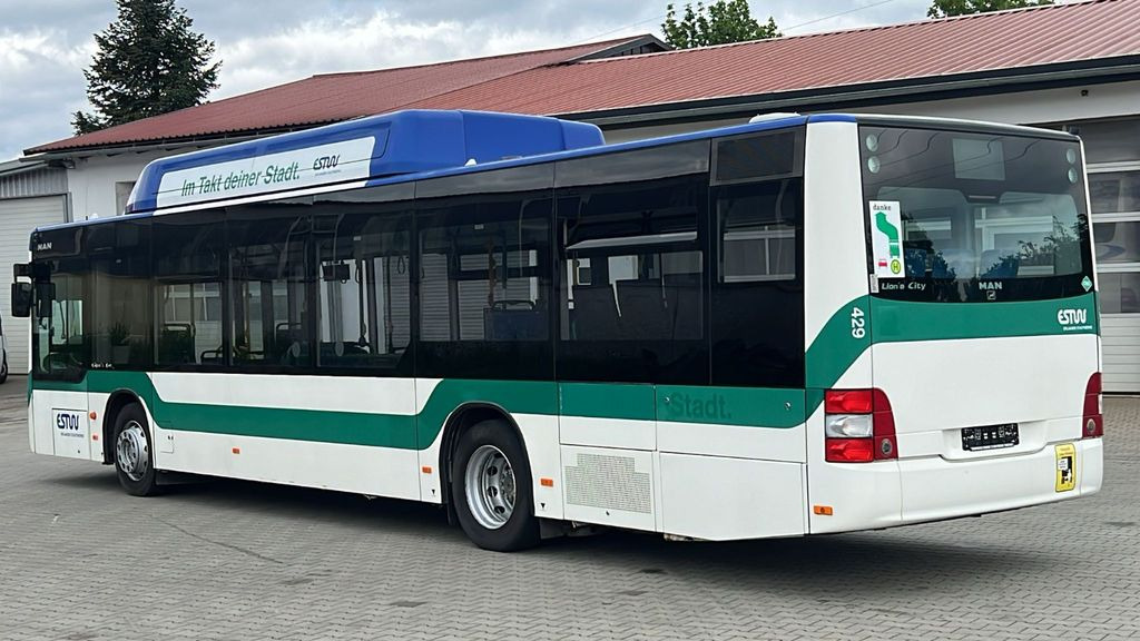 MAN A 21 CNG Euro 5 EEV MAN A 21 CNG Euro 5 EEV - Gradski autobus: slika MAN A 21 CNG Euro 5 EEV MAN A 21 CNG Euro 5 EEV - Gradski autobus MAN A 21 CNG Euro 5 EEV MAN A 21 CNG Euro 5 EEV - Gradski autobus: slika MAN A 21 CNG Euro 5 EEV MAN A 21 CNG Euro 5 EEV - Gradski autobus